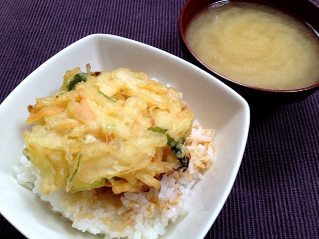 残りモノのかき揚げで、かき揚げ丼！