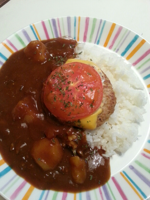 ハンバ―グカレー