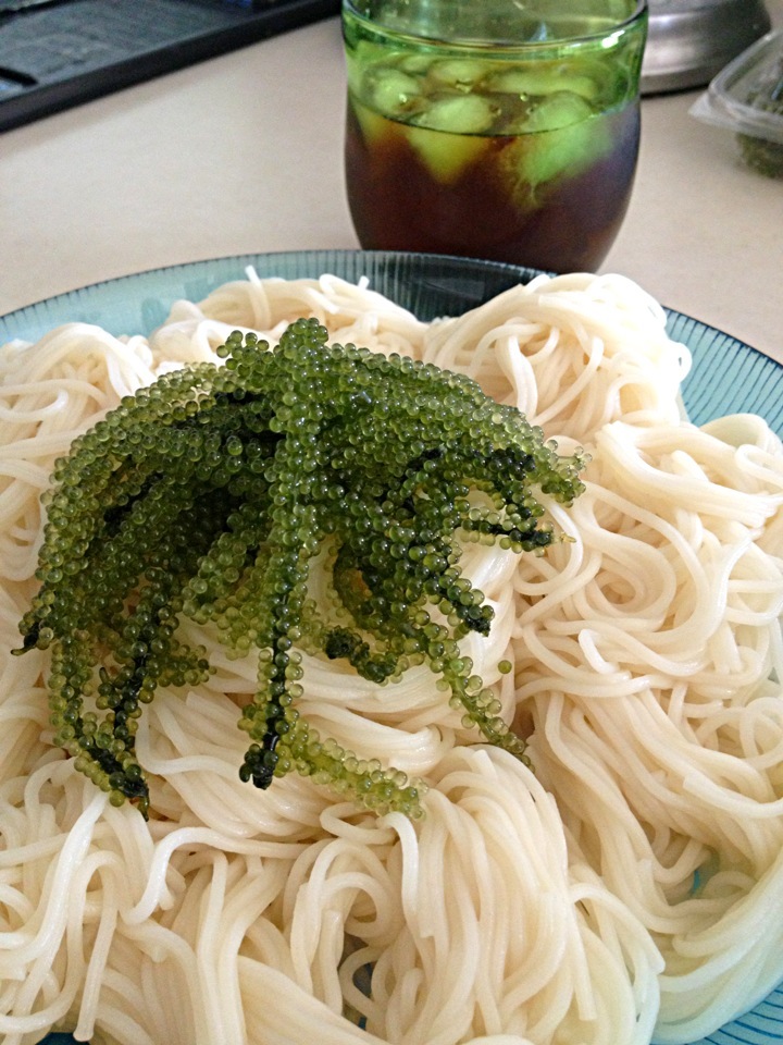 沖縄に戻りたい麺(*´ー｀*)笑