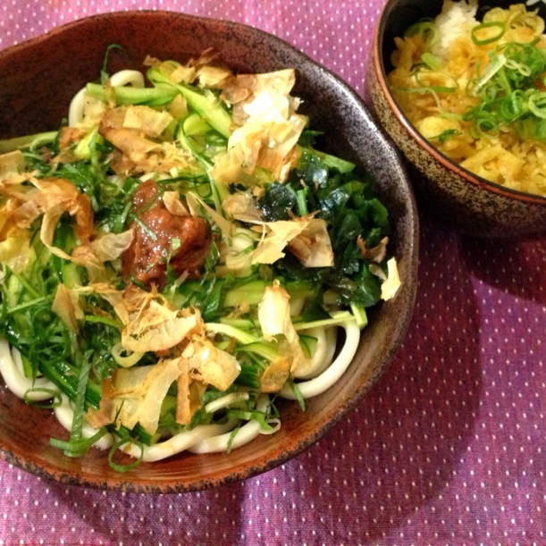 冷やし梅うどんと天かす丼