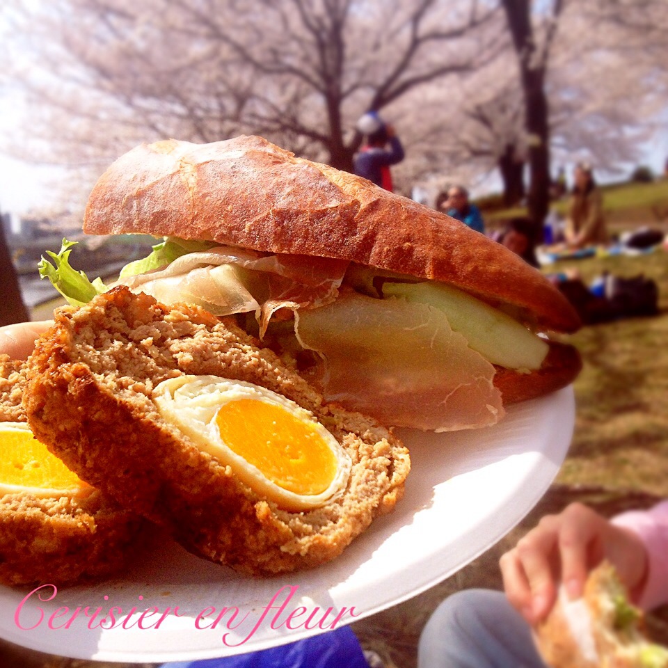 お花見サンドイッチとミートローフ