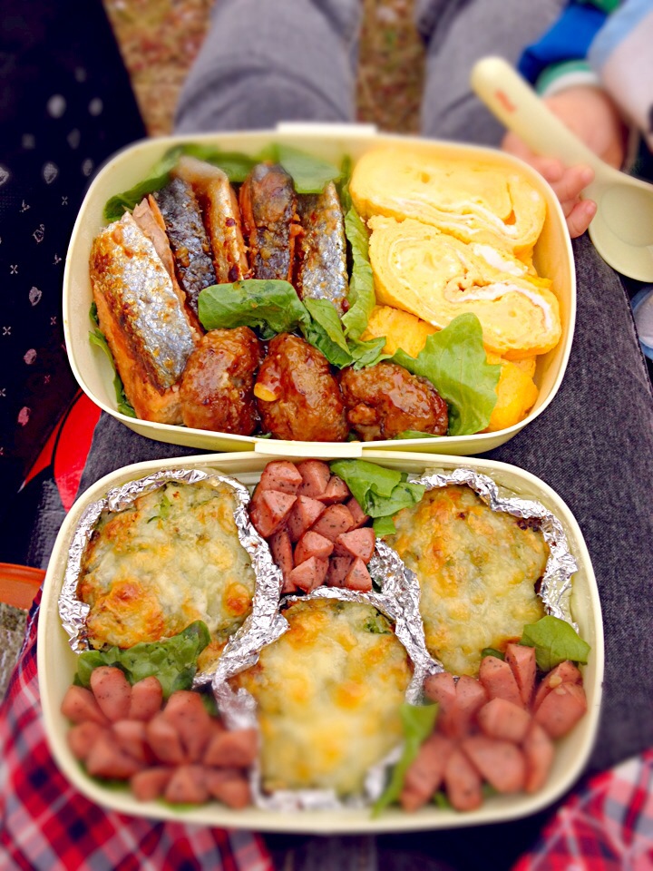 お花見弁当2014