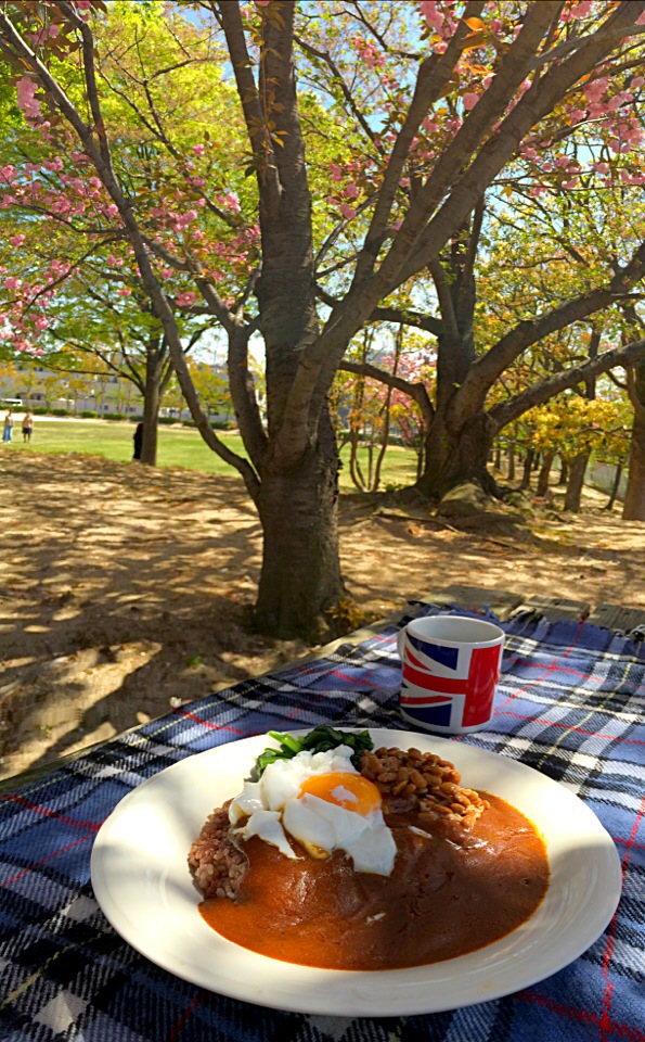 ピクニック・ランチ♬