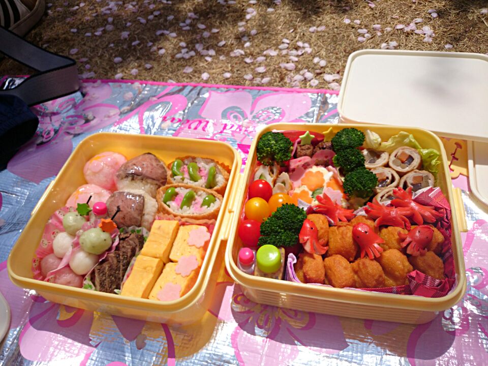 お花見弁当