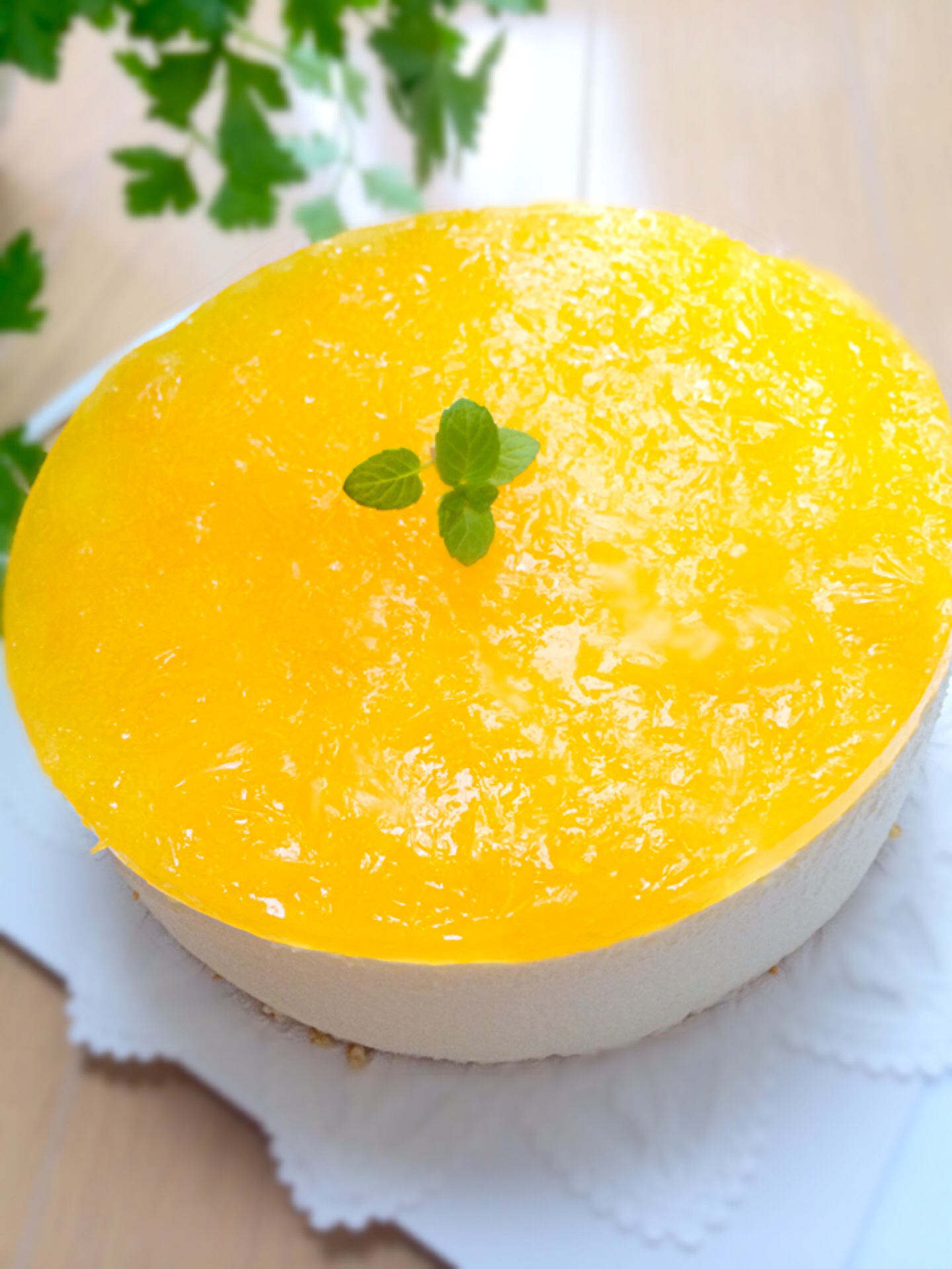 オレンジゼリーを乗せたレアチーズケーキ お花見弁当グランプリ14 ヤマサ醤油株式会社