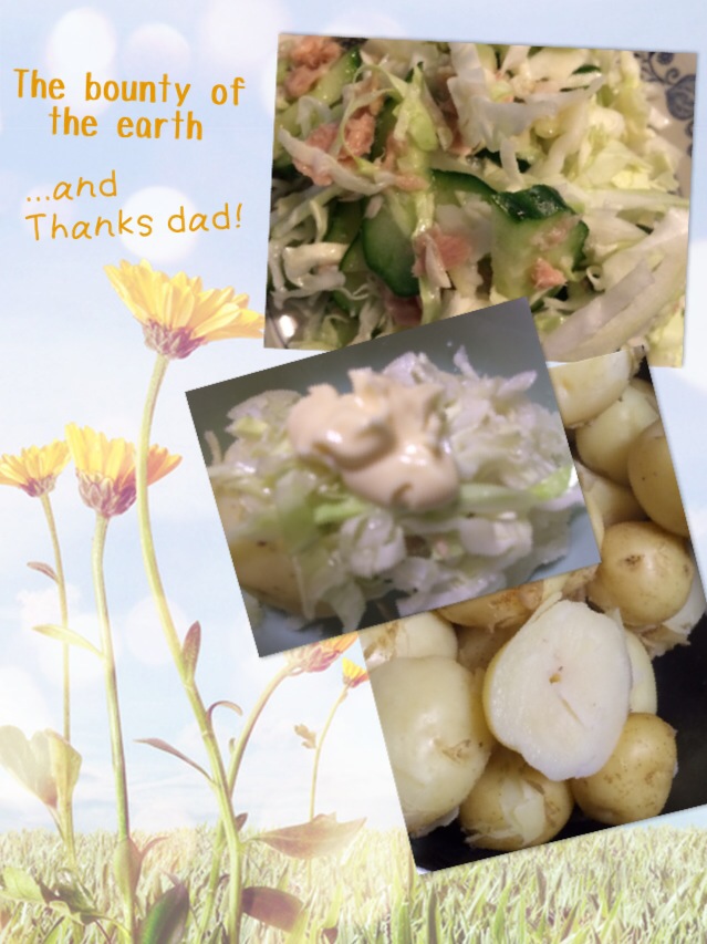 Home-grown new potatoes and coleslaw  自家製ポテトとコールスロー