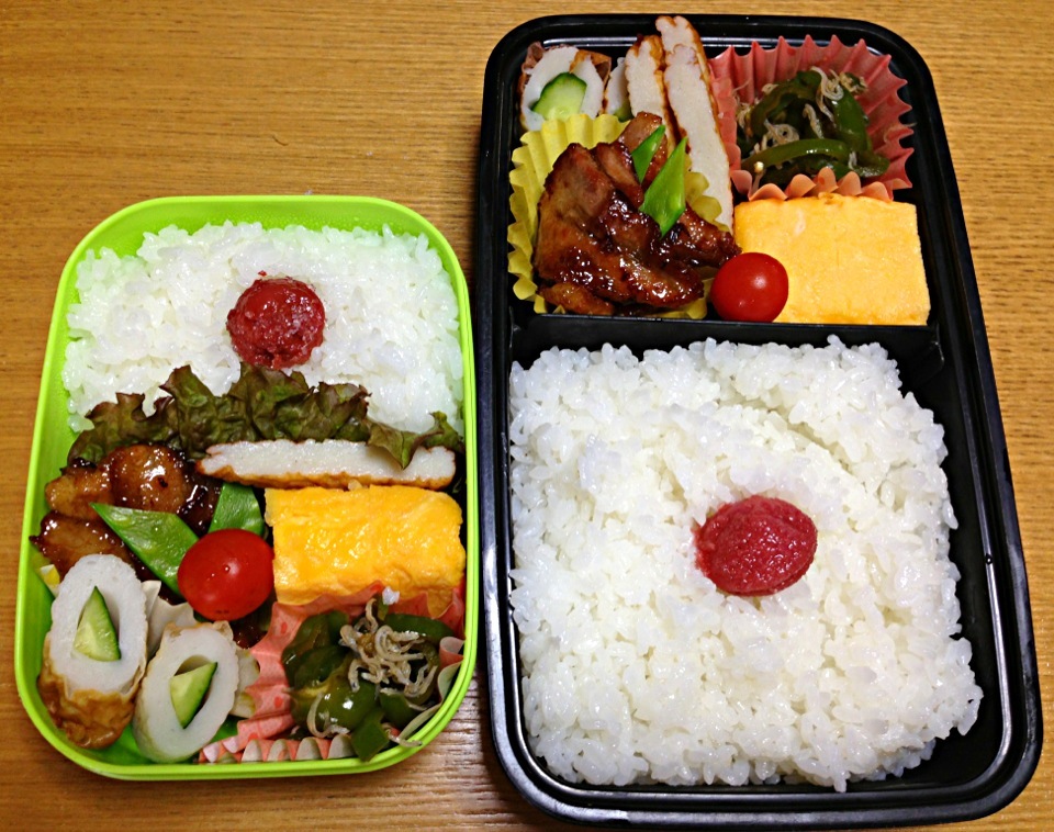 ６月１０日２人弁当