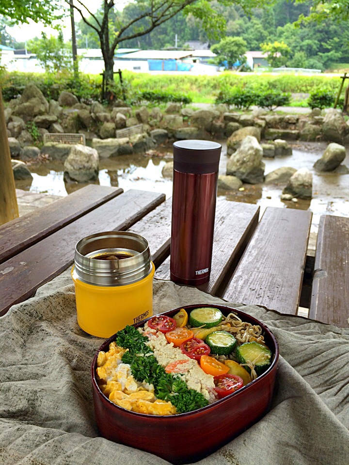 ピクニック・ランチ♬ (▰˘◡˘▰)☝︎