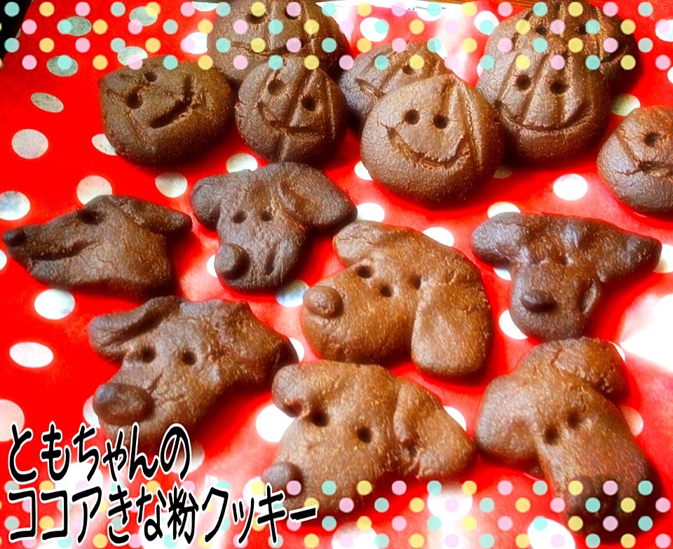 Tomoko Itoさんの料理 甘さ控えめの黄な粉とココアのヘルシークッキー♥️⛄️