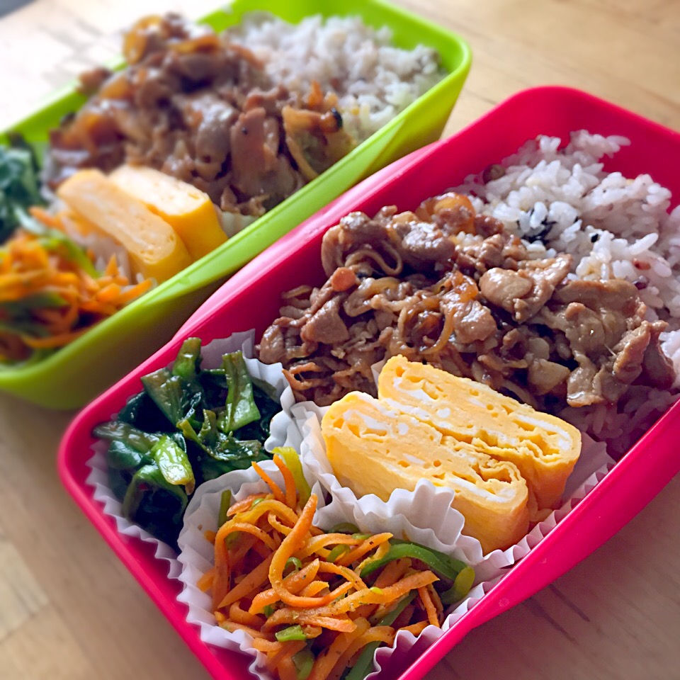 弁当2015.3.20