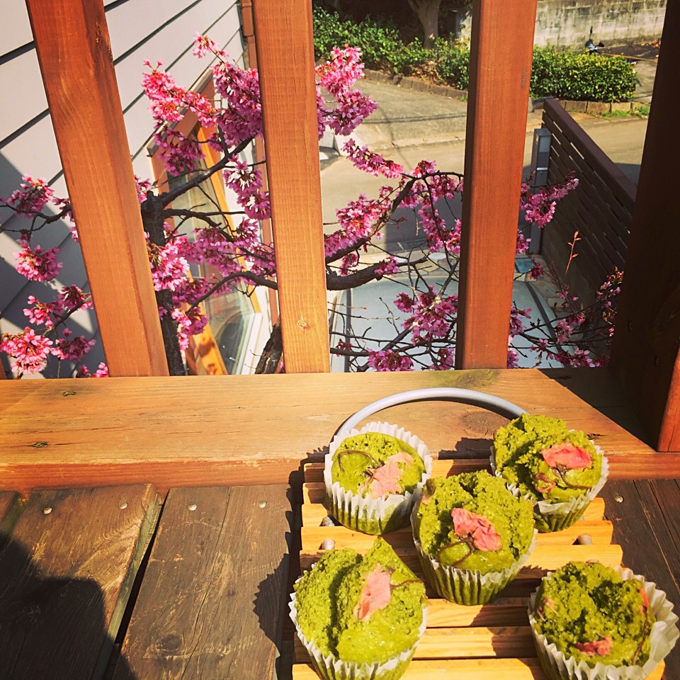 自宅のオカメ桜眺めながら自家製酒粕酵母の抹茶蒸しパンでお花見