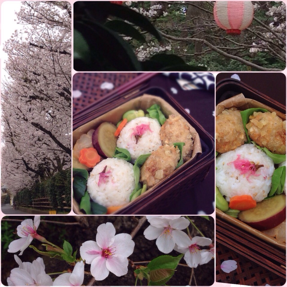 桜おこわのお花見弁当