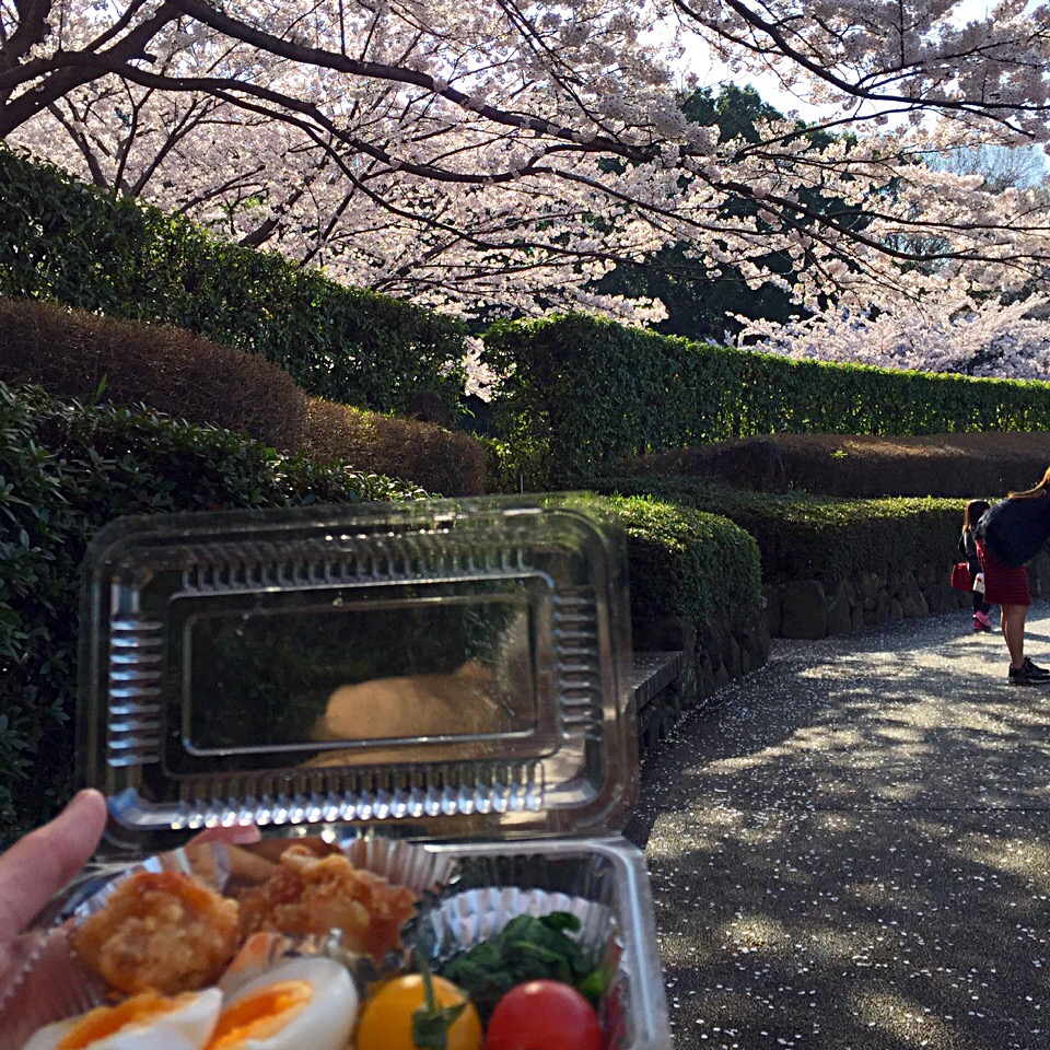 花見ランチ