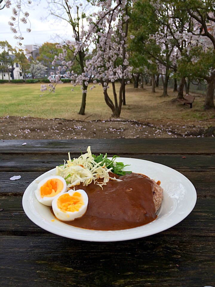 ピクニック・ランチ♬ (▰˘◡˘▰)☝︎