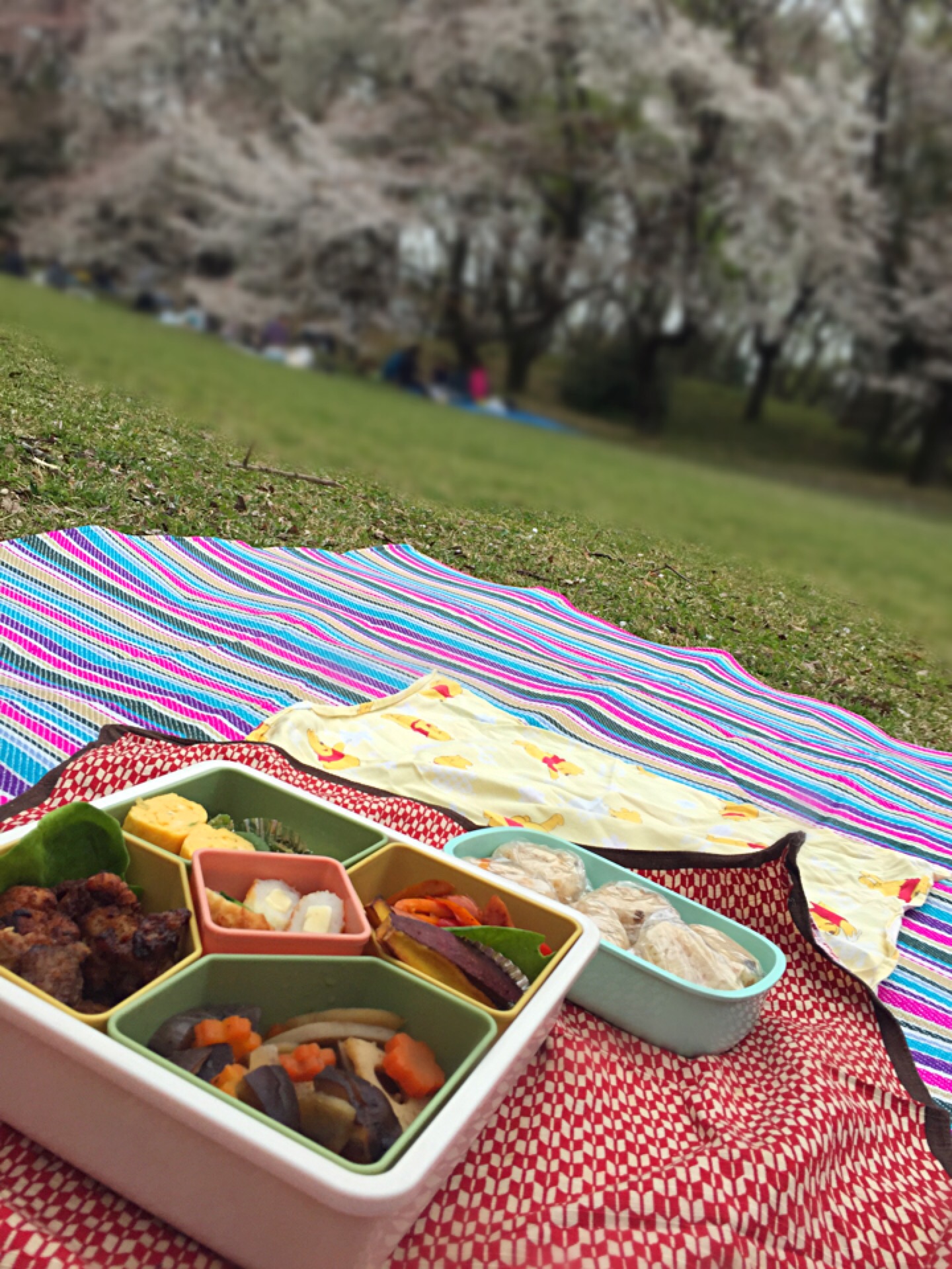 お花見弁当