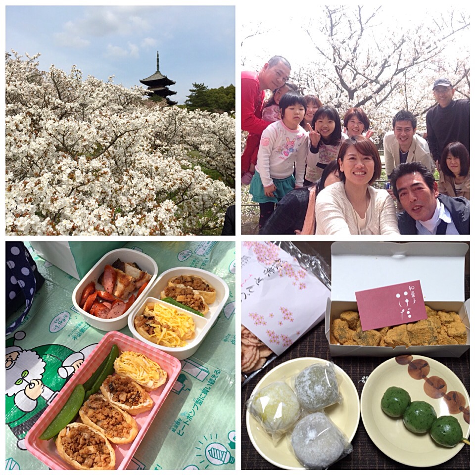 仁和寺でお花見