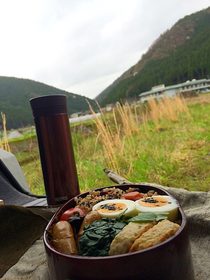 ピクニック・ランチ♬ (▰˘◡˘▰)☝︎