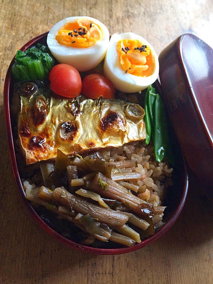 今日のお弁当‼︎ 20 April