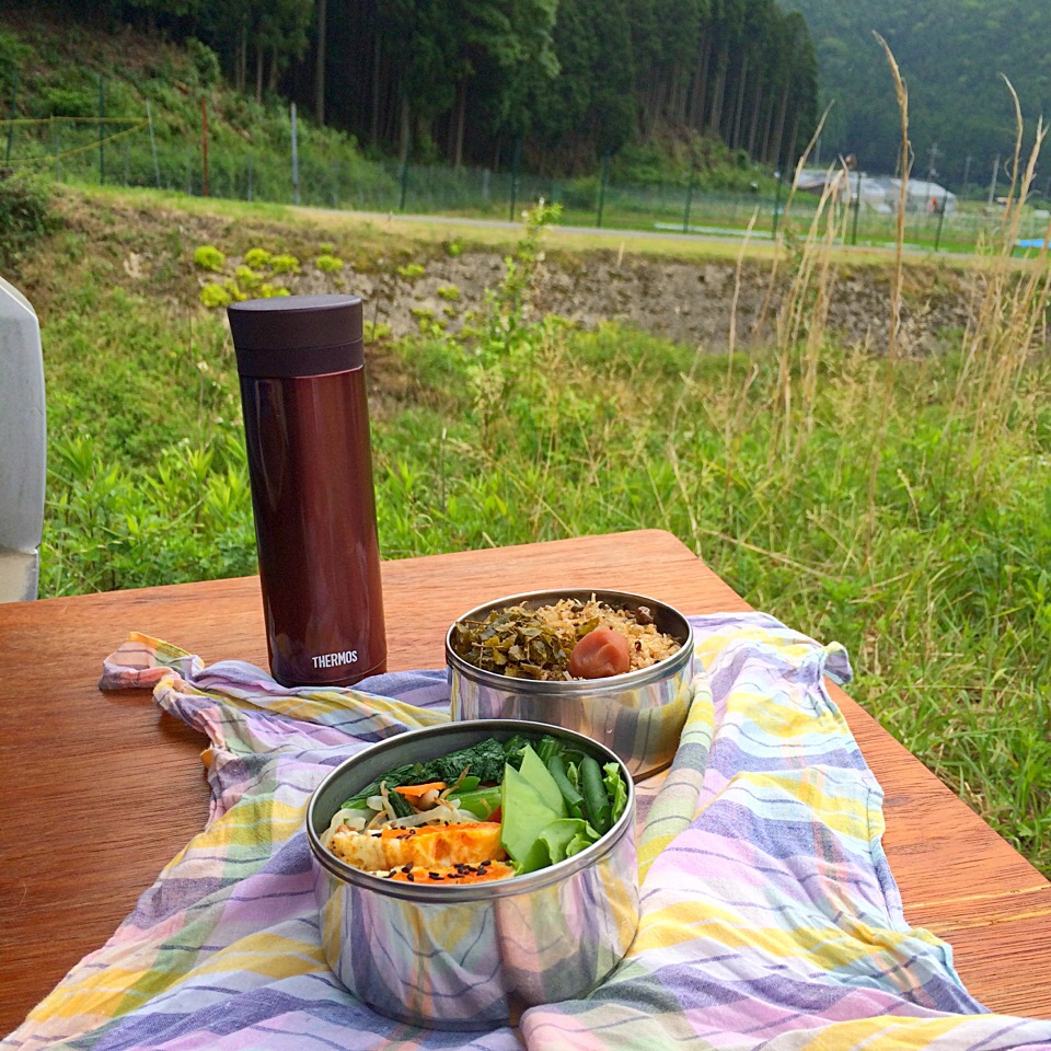 ピクニック・ランチ♬ (▰˘◡˘▰)☝︎