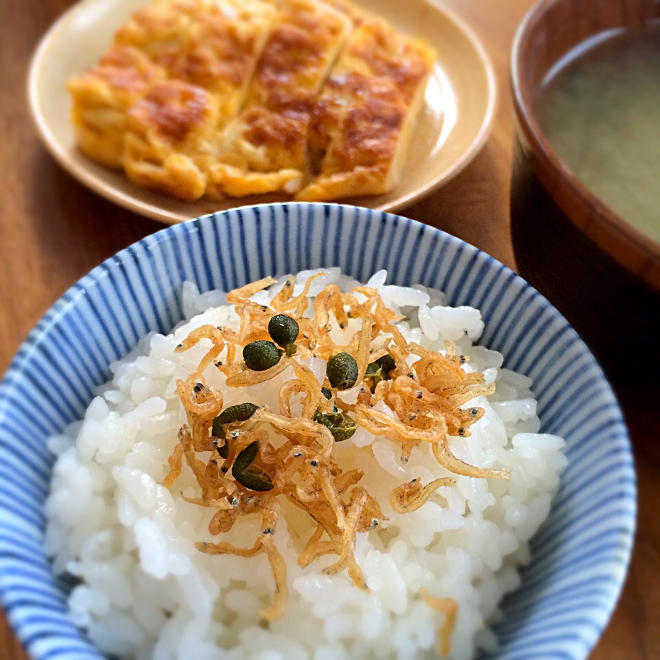 庭の山椒の木でちりめん山椒