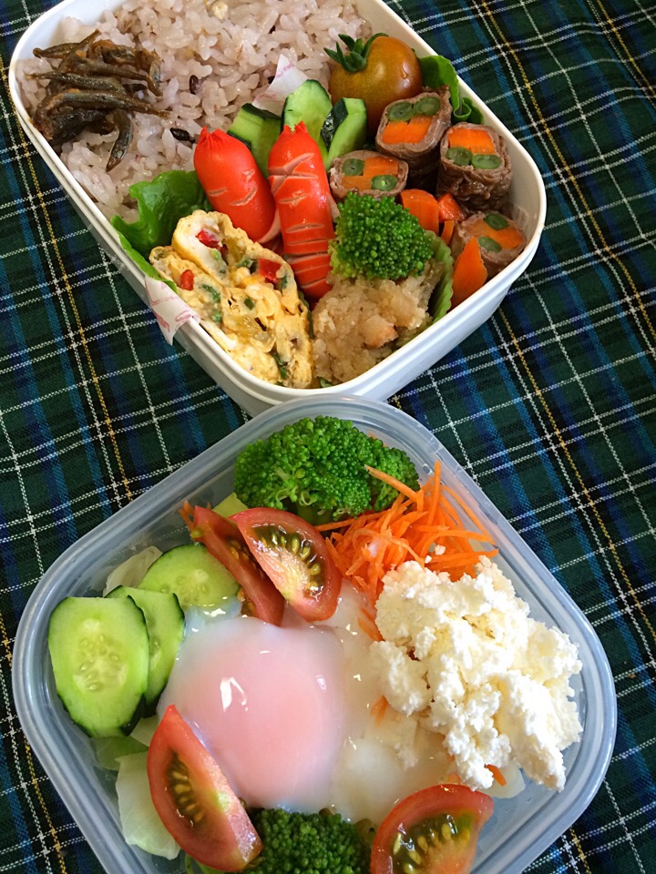 父さんのお弁当&サラダ〜♪♪