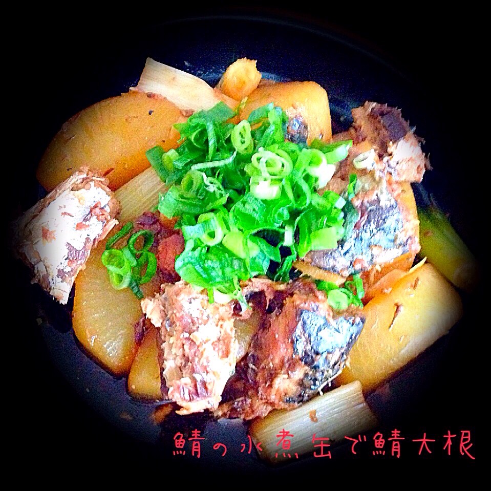 teruyoちゃんの鯖の水煮缶で鯖大根