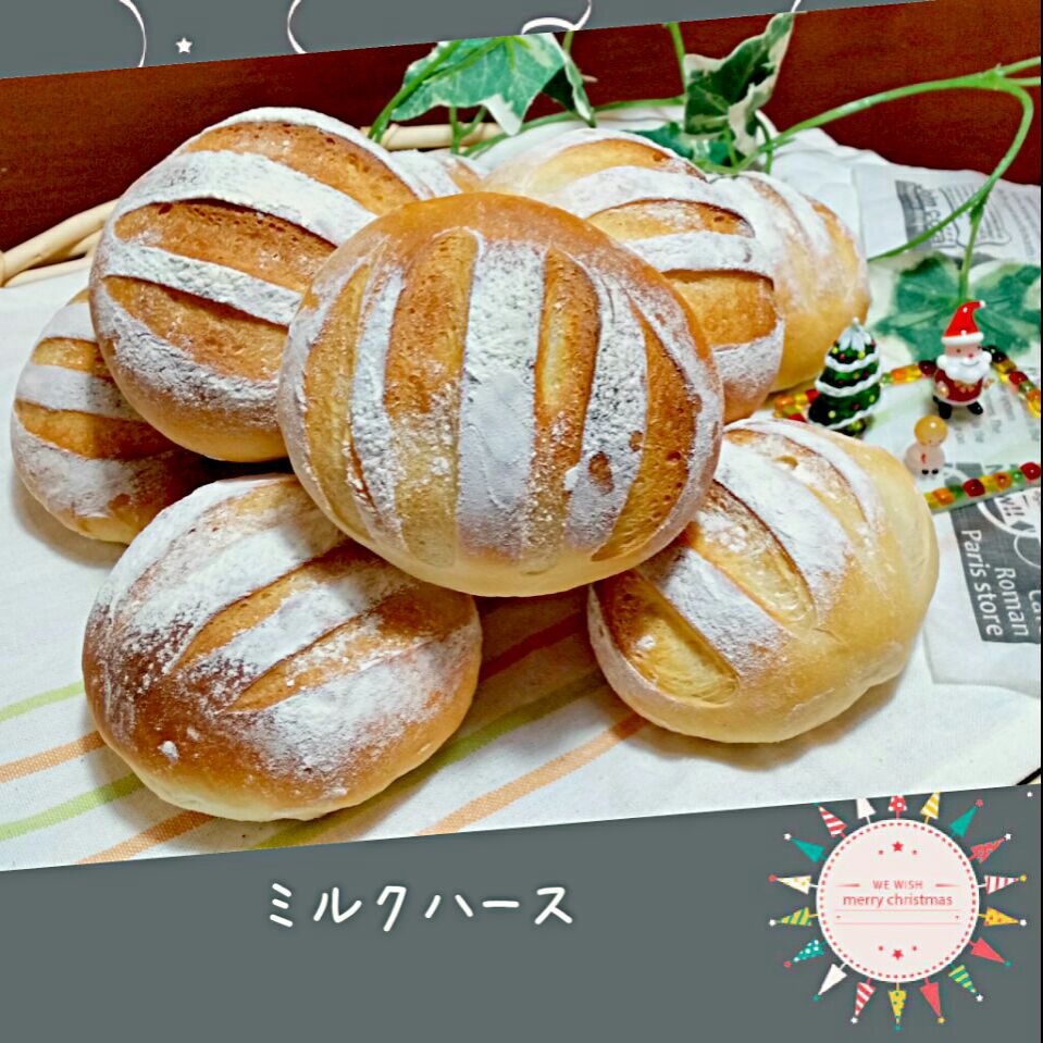 ともこちゃんの初ミルクハースでメリークリスマス