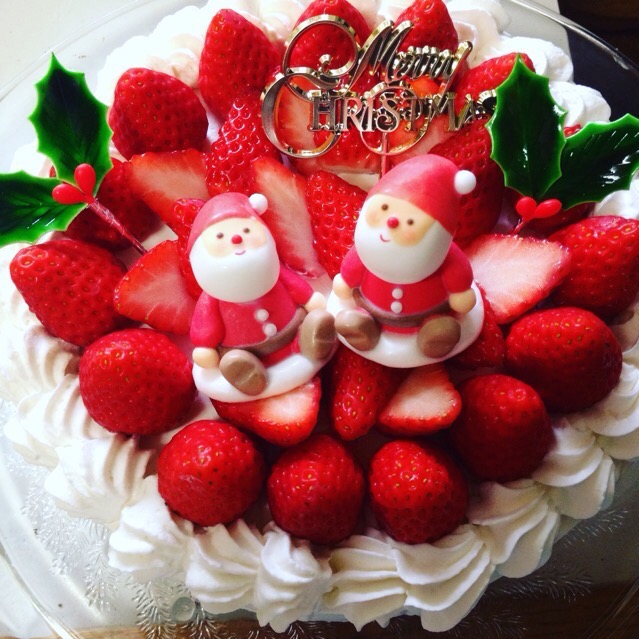 21センチ  クリスマスケーキ♡