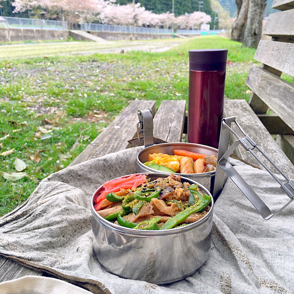 ピクニック・ランチ♬ (▰˘◡˘▰)☝︎