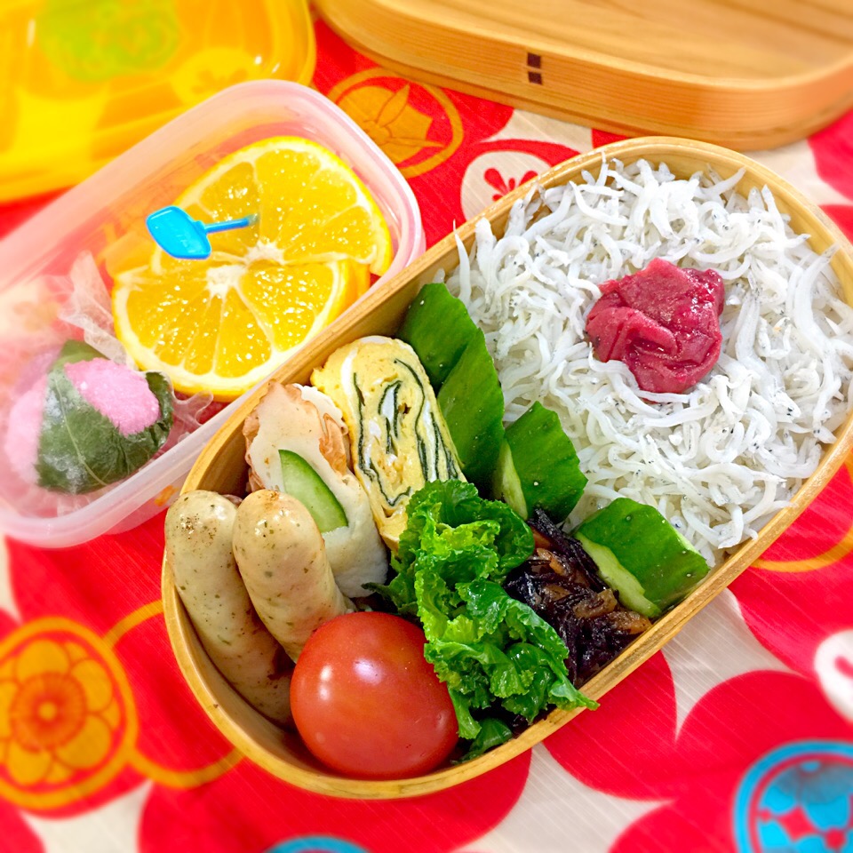 若布入りだし巻き玉子とシラスご飯のお弁当(⊹＾◡＾)ノo.♡ﾟ｡*