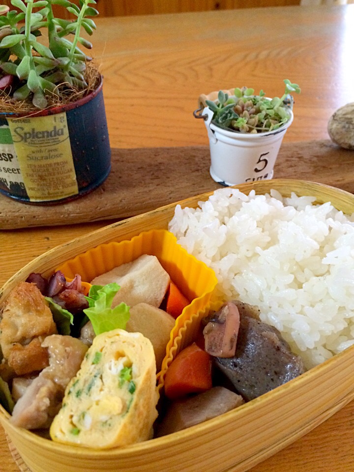 お花見、行きたい…弁当。