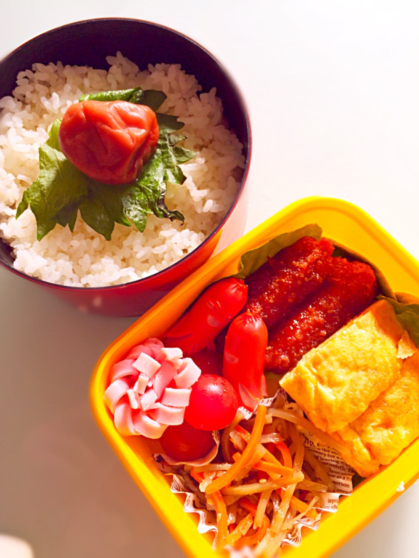 2016/04/15 パパの弁当(๑´ㅂ`๑)ŧ‹"ŧ‹"ŧ‹"