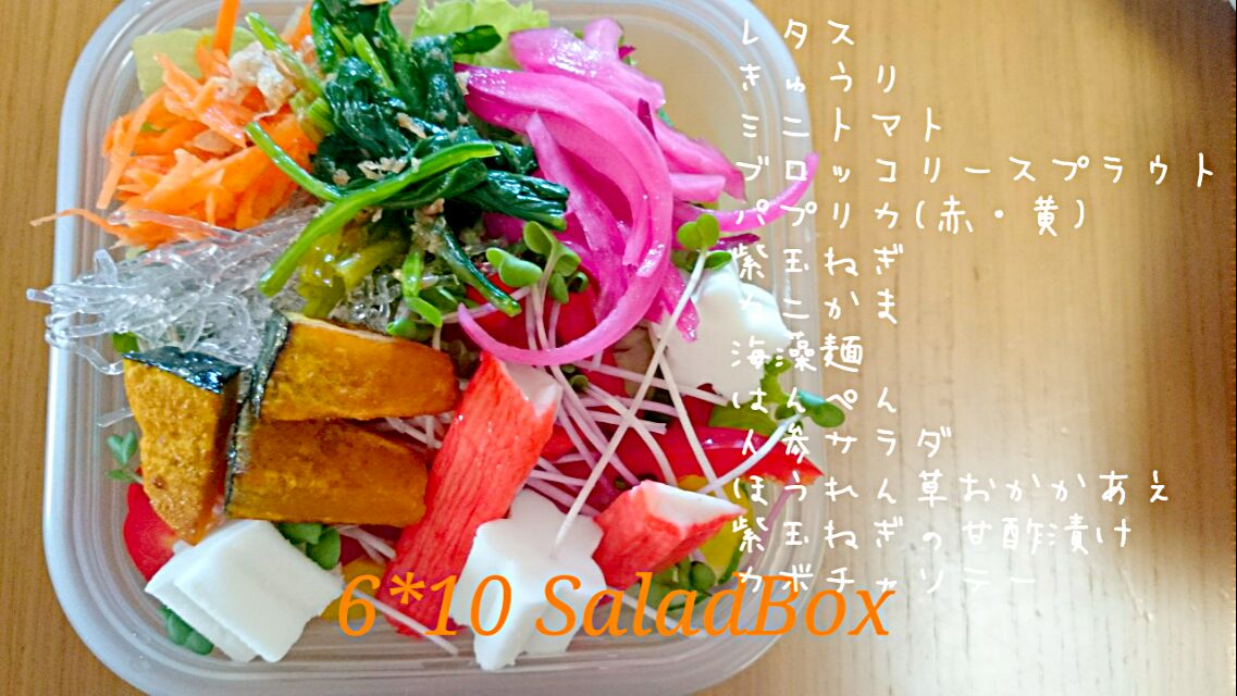 6*10  Salad Box