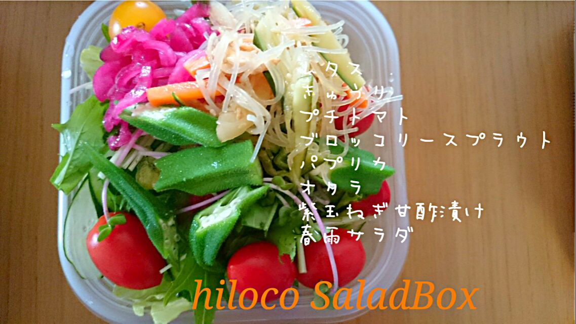 6*14  SaladBox