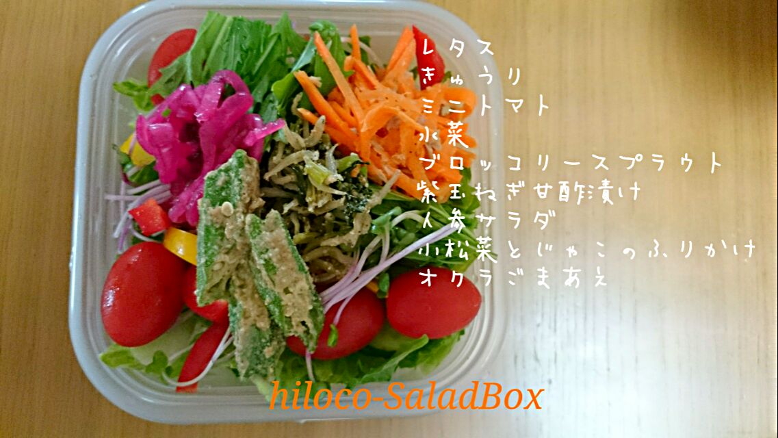 16*6*15SaladBox