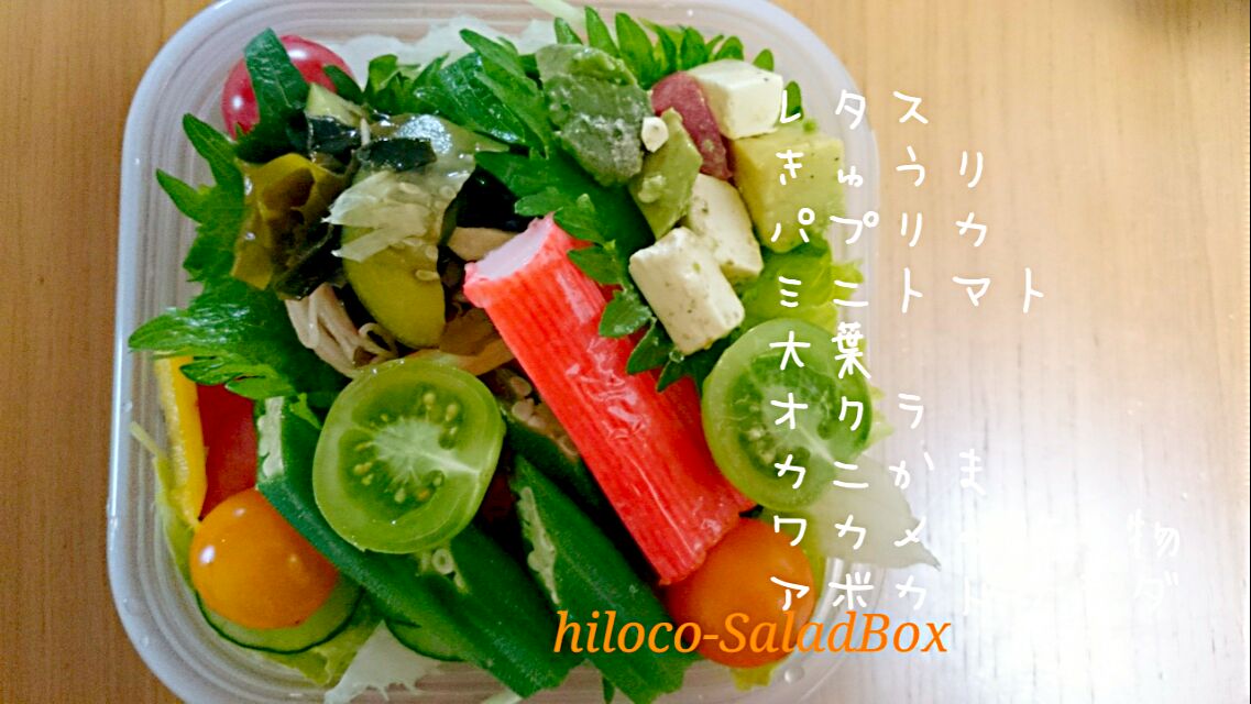 6*20  SaladBox