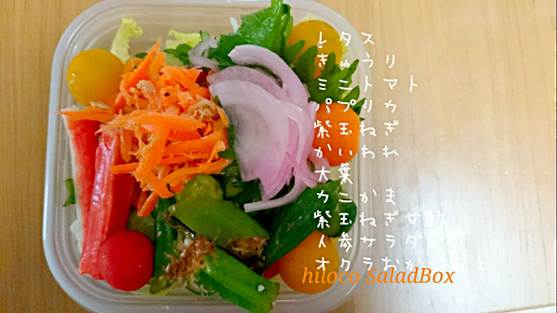 6*22 SaladBox