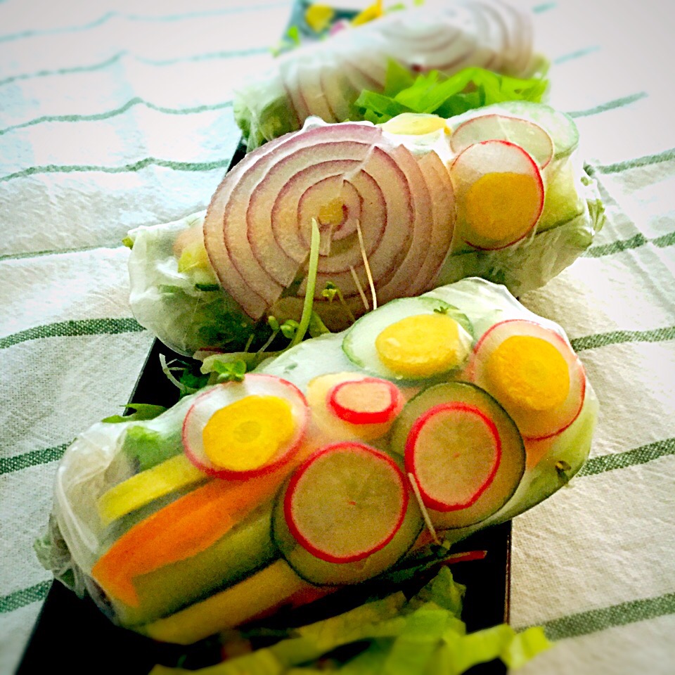 Summer veggie rolls 10種類の野菜生春巻きサラダ