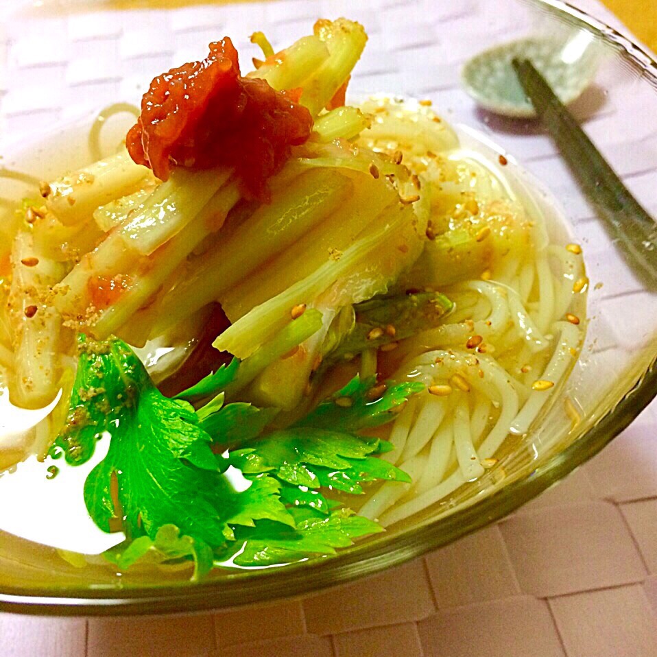 梅セロリーの冷やし麺／Cold Noodles with Pickled Plum, Celery