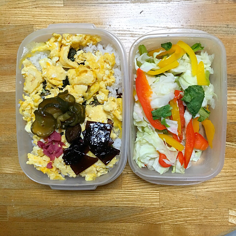 今日のお弁当‼︎ 16 August