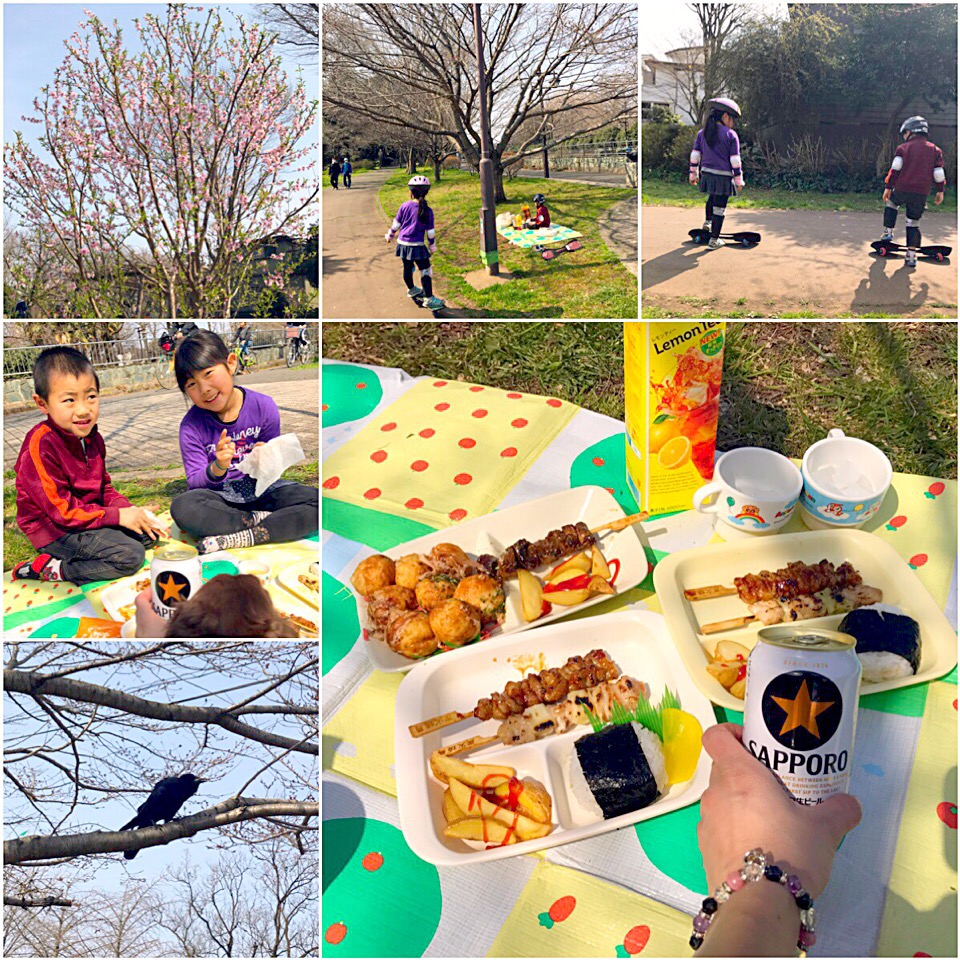 Cherry‐blossom viewing picnic?花見?