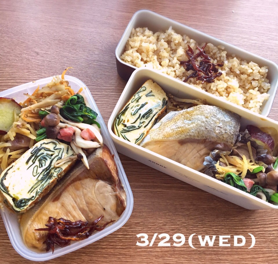 3/29 お弁当