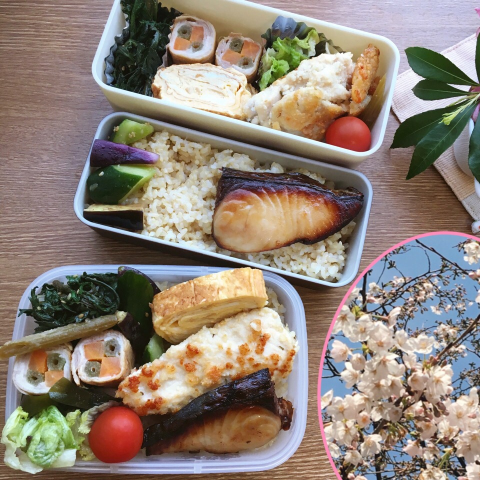 4/5 お花見弁当