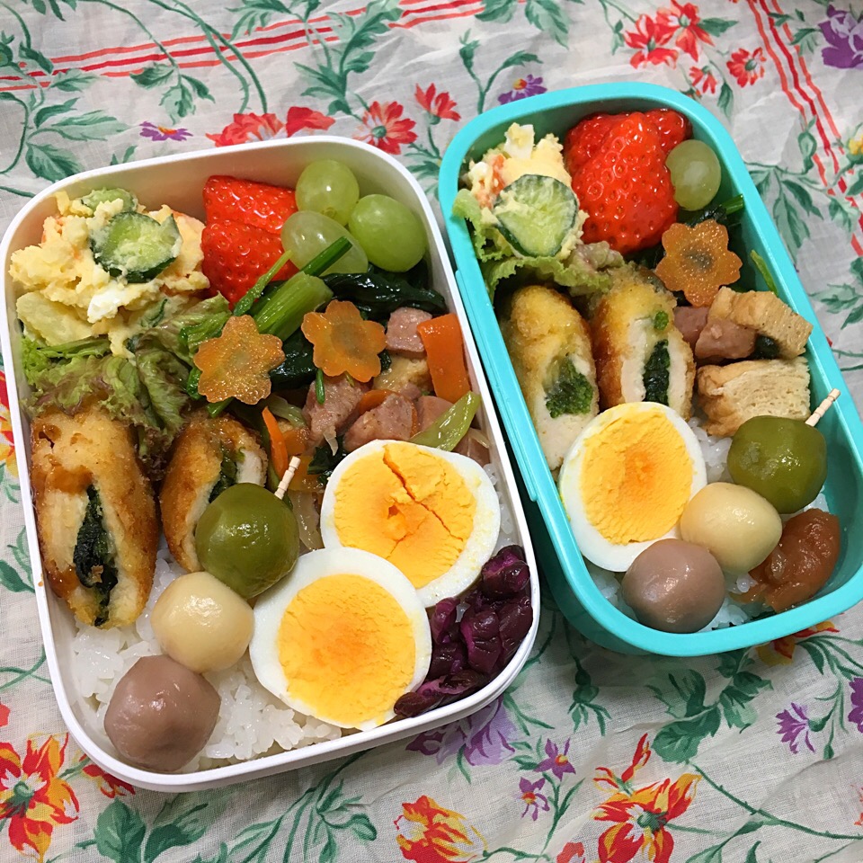 親子お花見弁当?