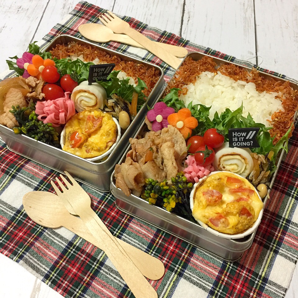 春らしい弁当?