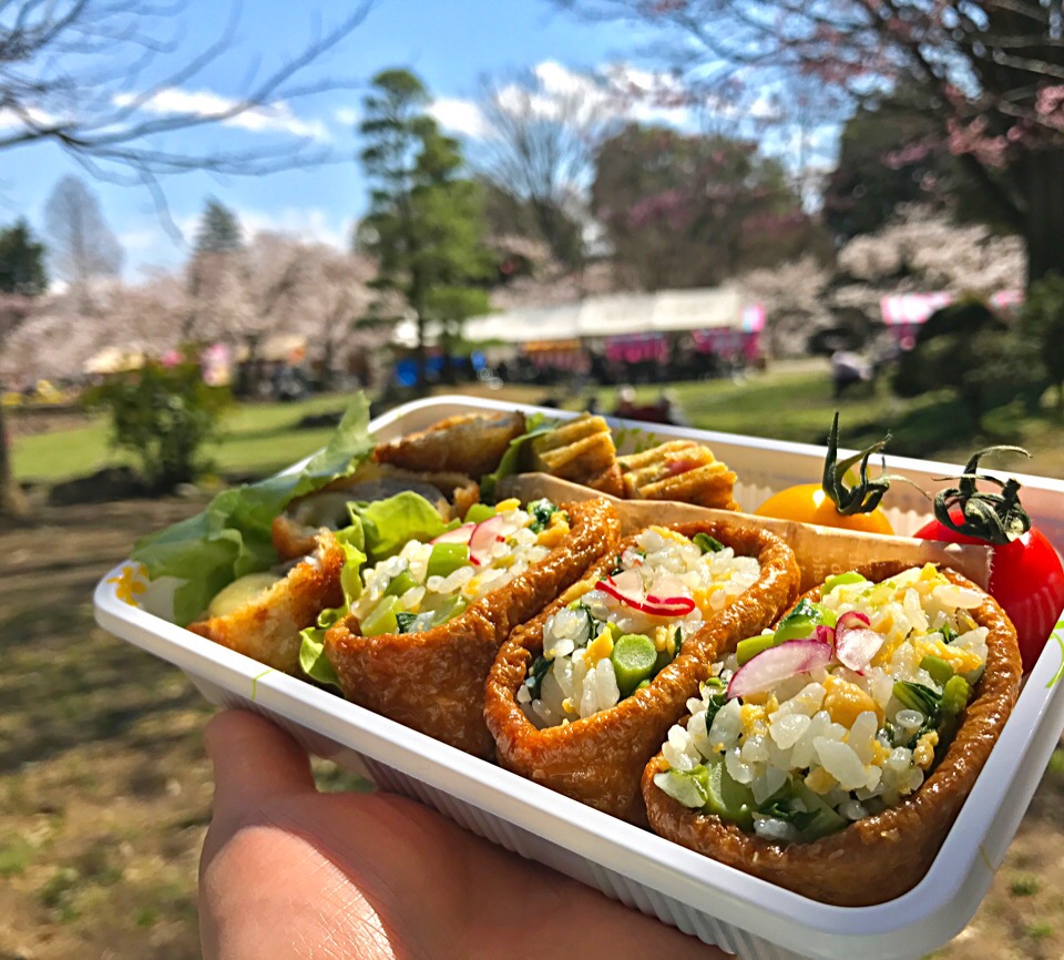 本日はお花見弁当?  アッチさんの菜の花ごはんでお稲荷さん