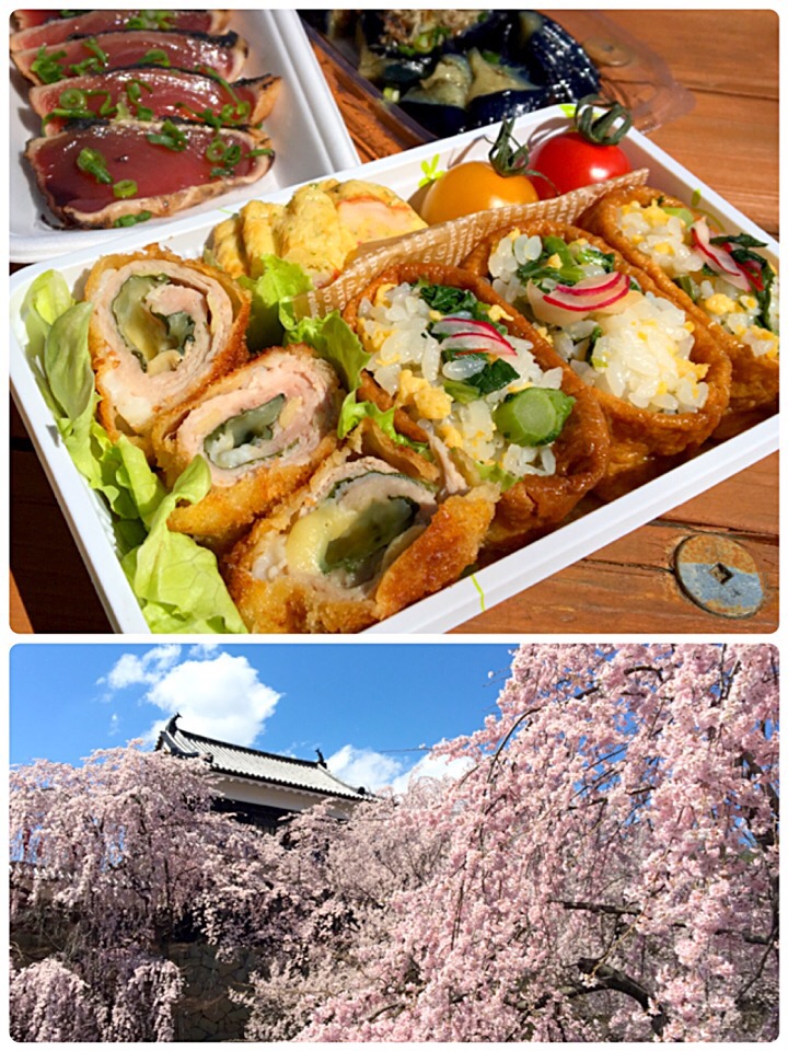 昼ごはん  お花見弁当（菜の花ご飯のいなり寿司） カツオのたたき 茄子の煮浸し 野菜ジュース