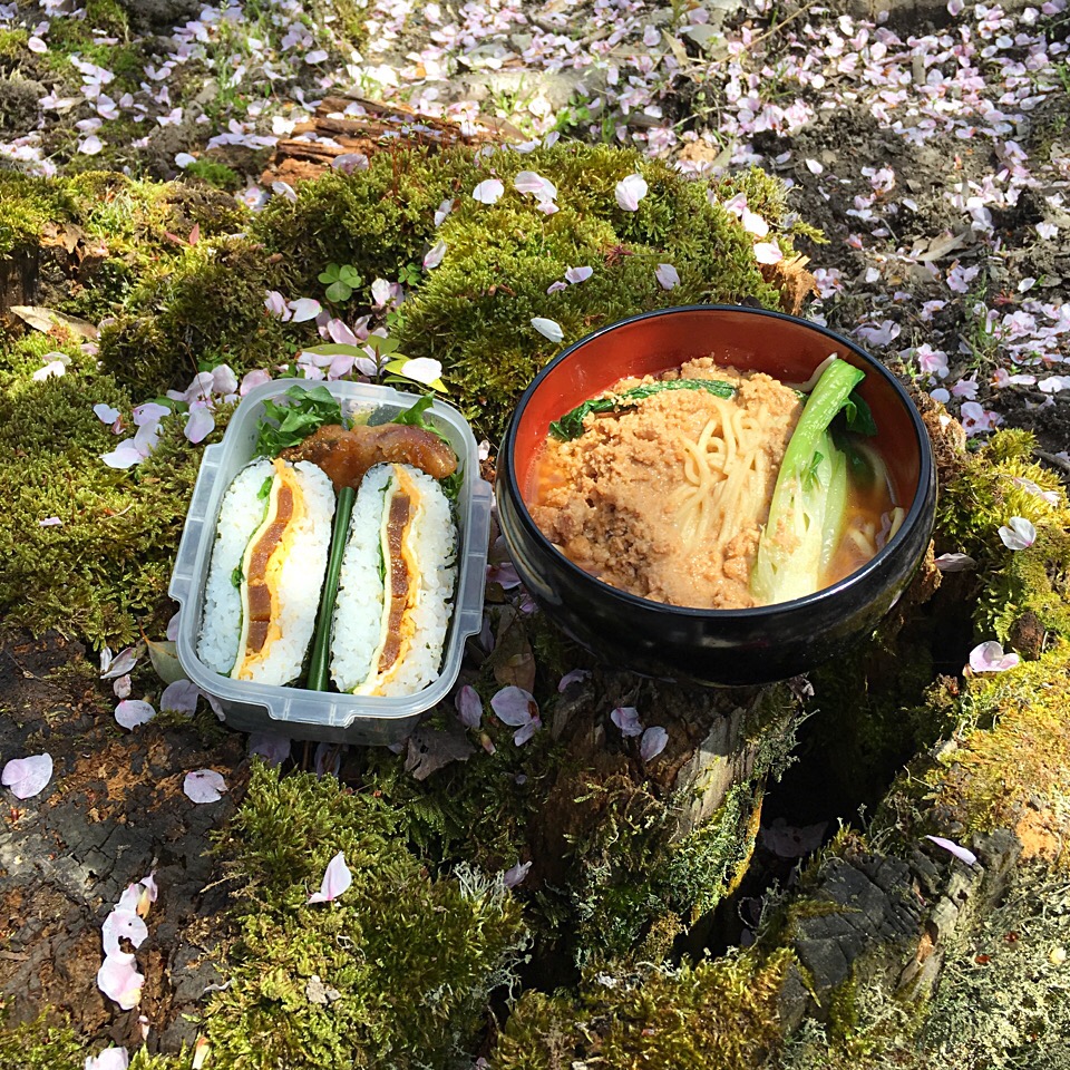 ピクニック・ランチ♬ (▰˘◡˘▰)☝︎
#ピクニック・ランチ #ピクニック #ピクニック弁当 #担々麺 #おにぎらず #花見弁当 #弁当 #お弁当