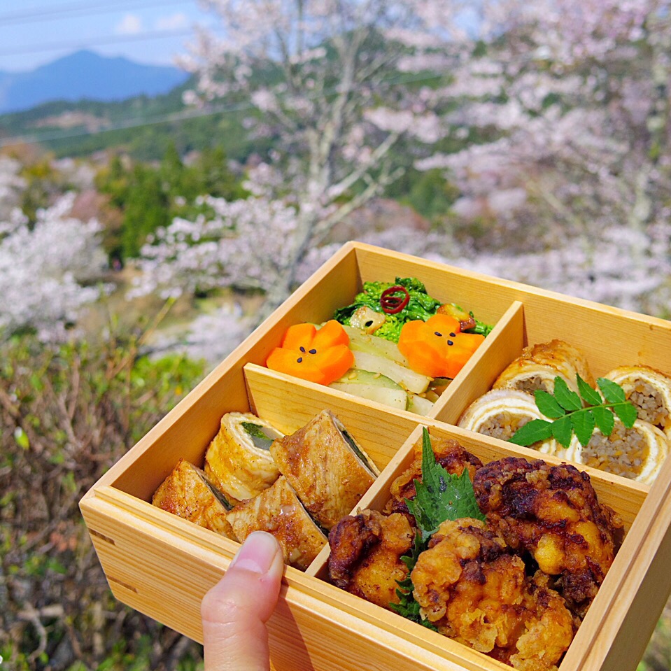 連投すいません！花見弁当?