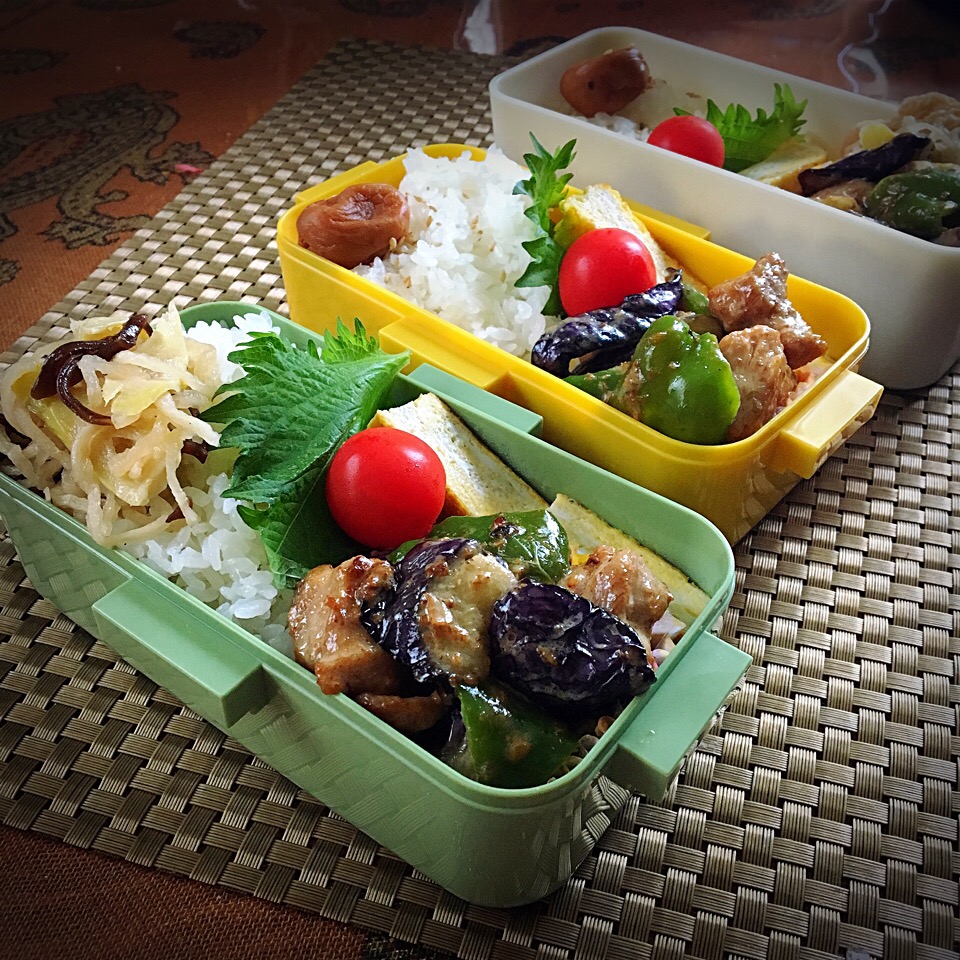 #お弁当 #お昼ご飯 

6.26 今日のお弁当???
お茄子?の色が綺麗に出せました。